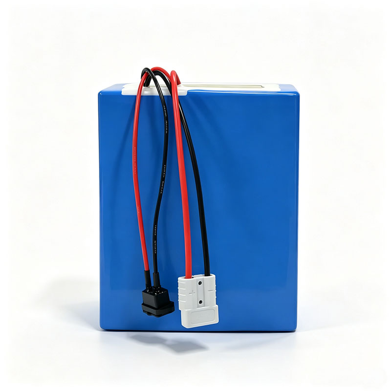 Paquete de Baterías de Litio L - 72V 40Ah Lifepo4 Battery Pack reseña y precio