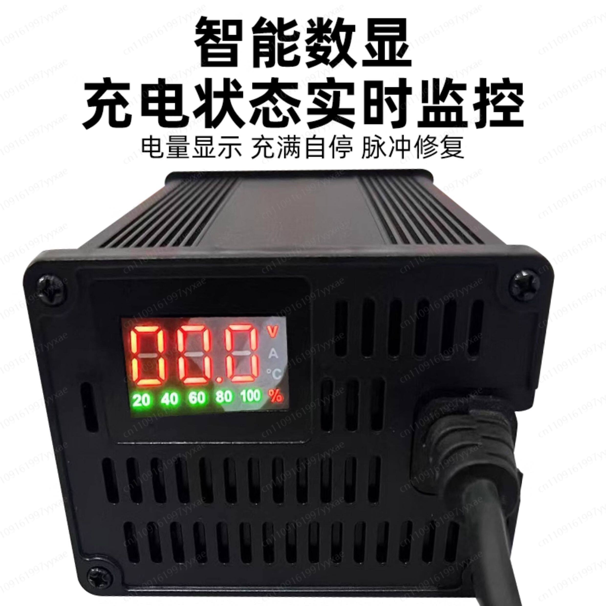 Cargador Inteligente LiFePO4 L - 72V 15A Fast Charger reseña y precio