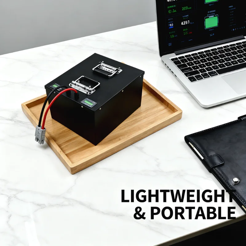 Paquete de batería LiFePO4 24S - 72V 40Ah Lifepo4 Battery Pack reseña y precio